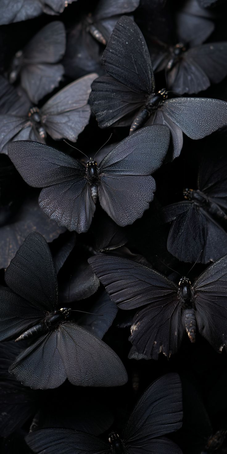 LS 87 for willows_witchy_workshop